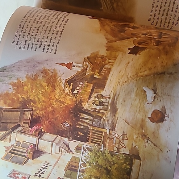 The book of the Sandman - Picture 7 of 8